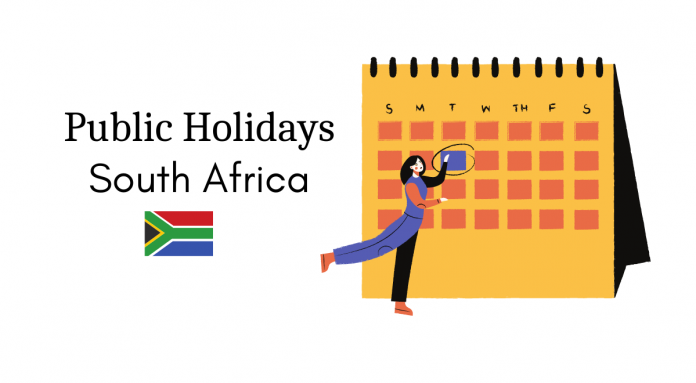 work holidays south africa